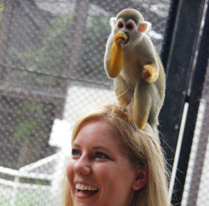 Friendly monkeys at Utsunomiya Zoo