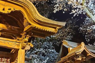 Futaarayama Shrine Tour