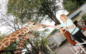Feeding the Giraffes at Utsunomiya Zoo